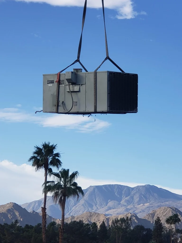 palmtreemountainliftcrane